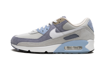 Air Max 90 "Ashen Slate" DM0035 400