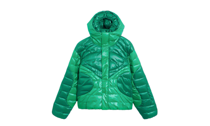 Sportswear Tech Pack Therma-FIT ADV Hooded Jacket "Stadium Green / Malachite" FB7423 324