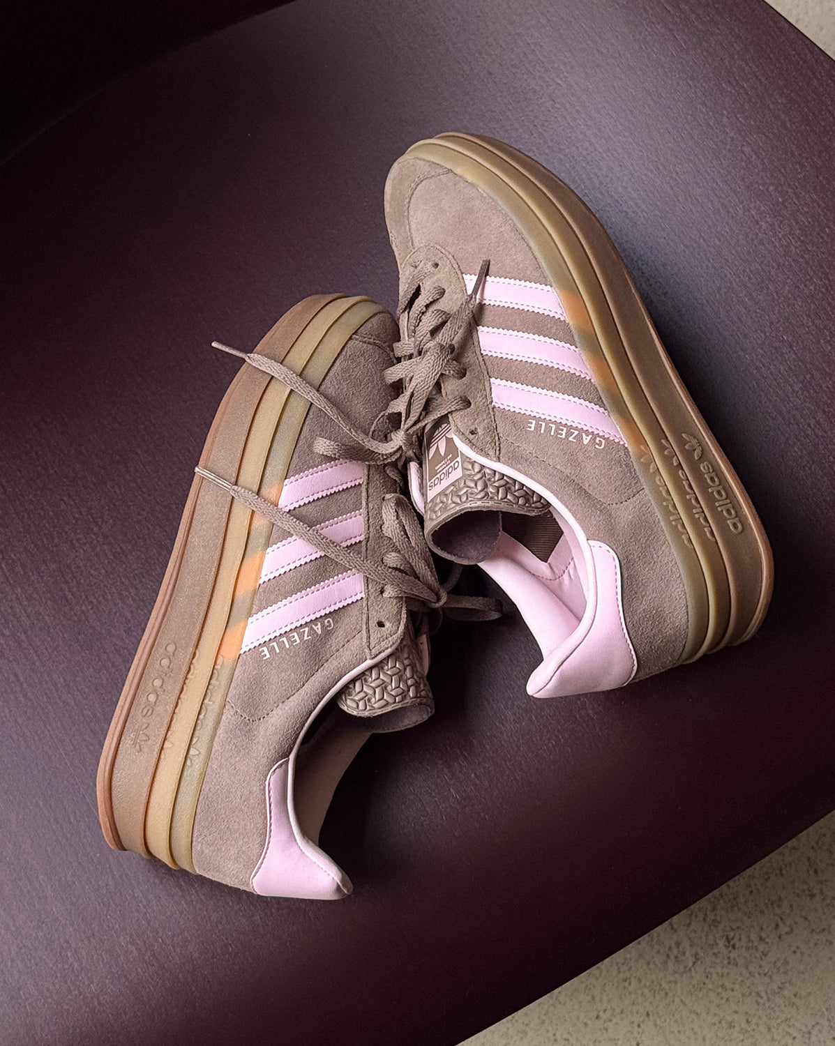 Gazelle Bold W