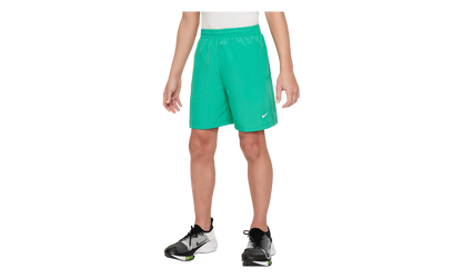 Dri Fit Training Shorts GS "Green" DX5382 324