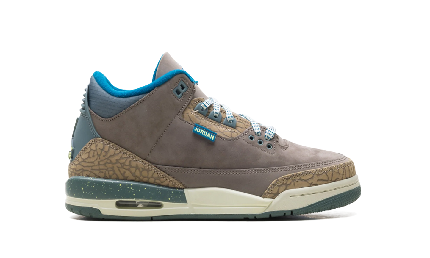 Air Jordan 3 GS "We Outside" IB7066 001