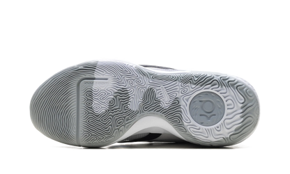 KD Trey 5 X "Wolf Grey" DD9538 102