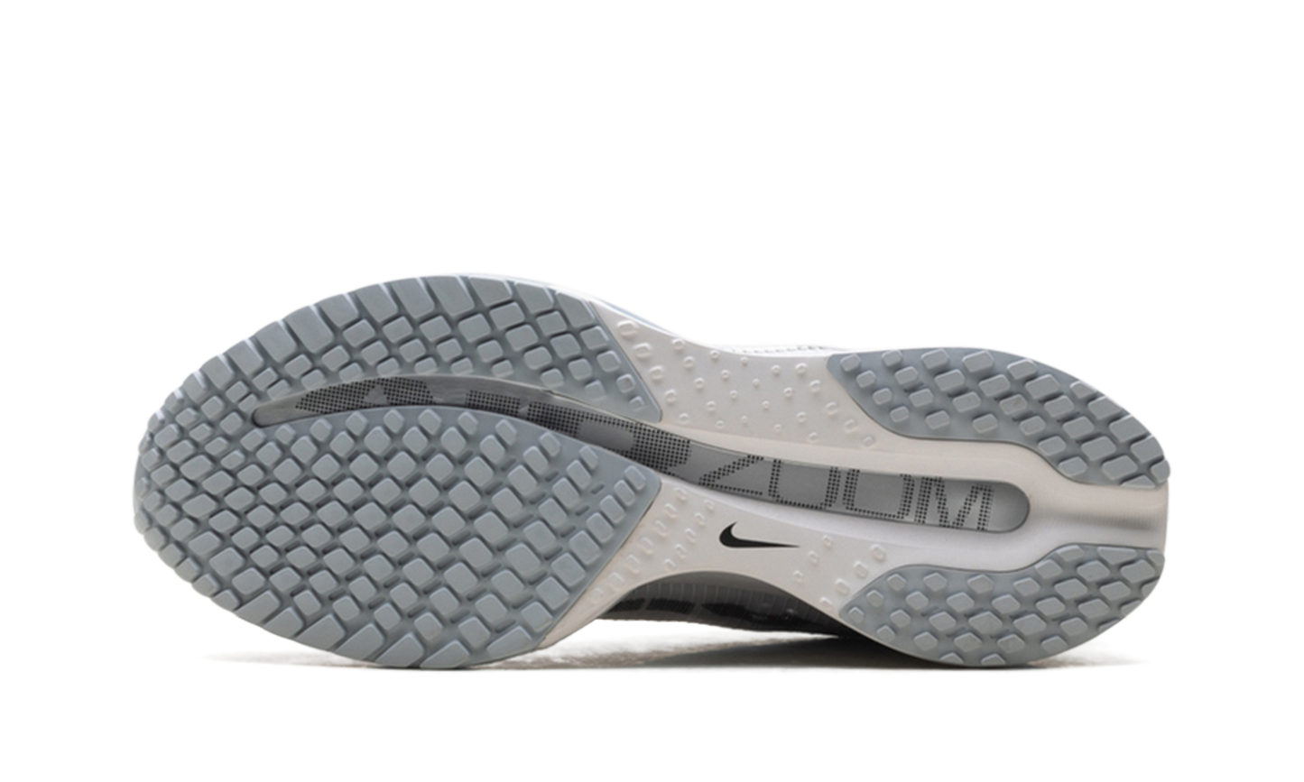Pegasus Premium WMNS"Metallic Silver" HQ2593 005