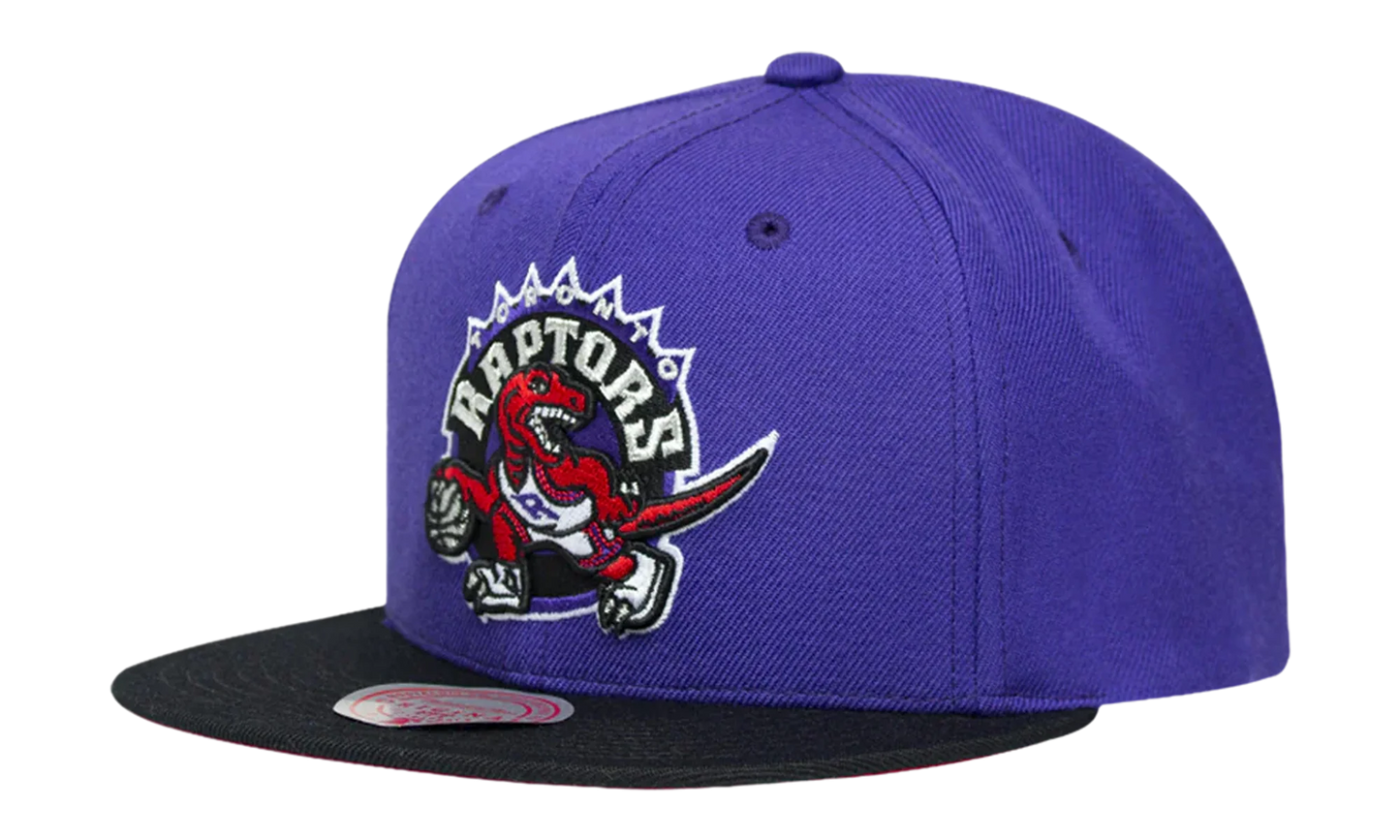 NBA 2-Tone Classic Snapback Cap "Toronto Raptors - Purple / Black" 6HSSJS18093 TRAPRBK