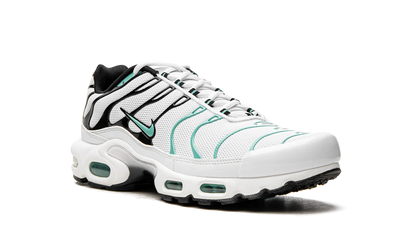 Air Max Plus "Atmos" 604133 148