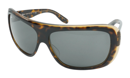 BLAIR SUNGLASSES "HAVANA ON TRANSPARENT BROWN" RB2196-1292B1_64