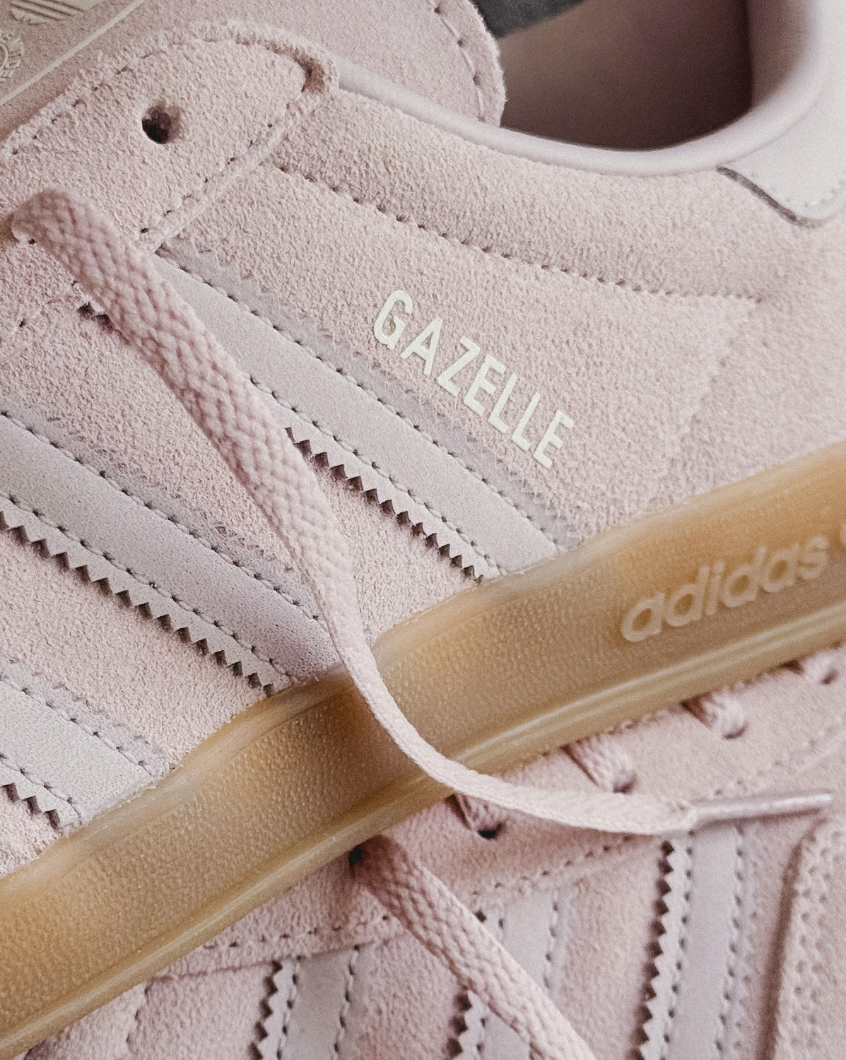 Gazelle Indoor W