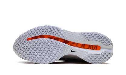 Air Zoom Pegasus Premium WMNS"Airscape" HQ2593 001