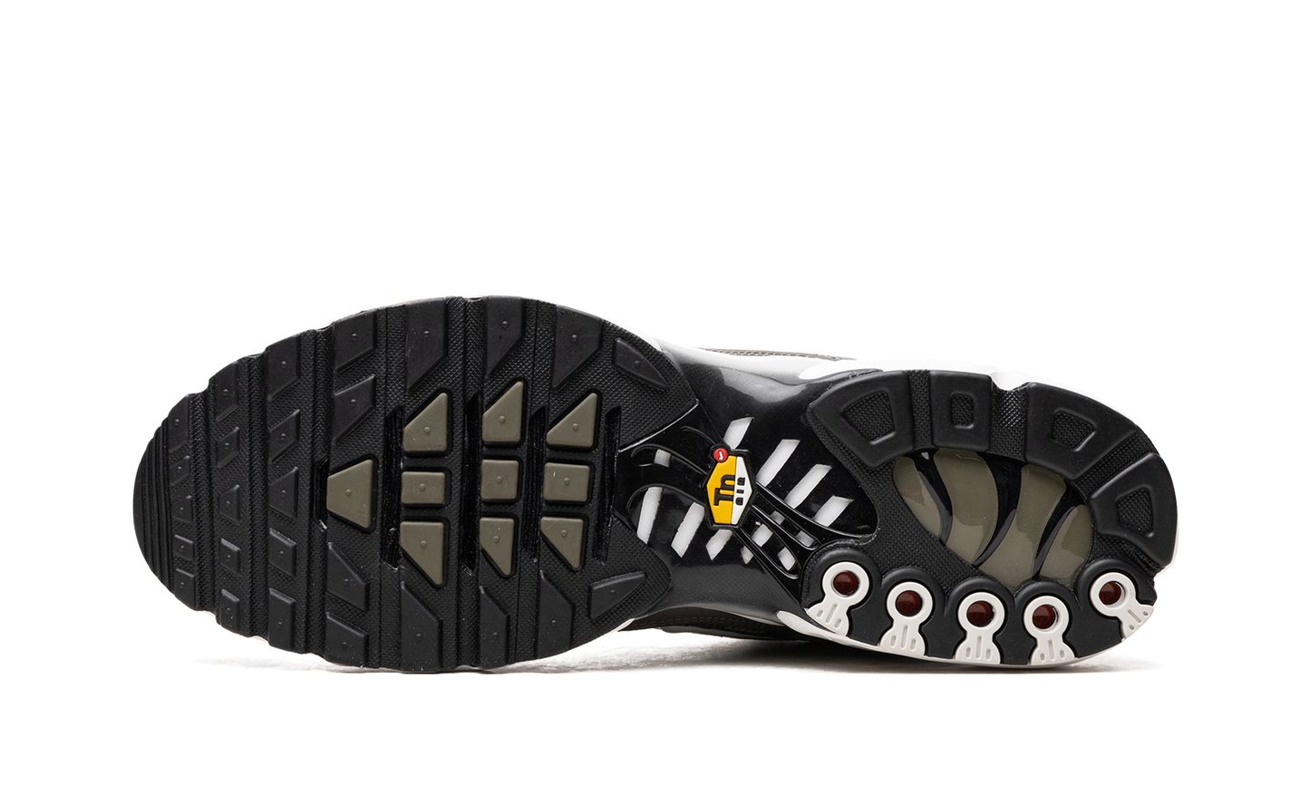 Air Max Plus SE "Flat Pewter" DV7665 002