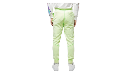 Jordan MJ Wings Washed Fleece Pants "Ghost Green" CD4575 380
