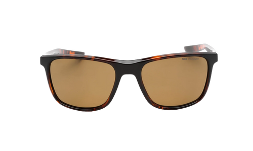 Essential Endeavor Polarized Sunglasses "Tortoise / Brown" EV1124 220