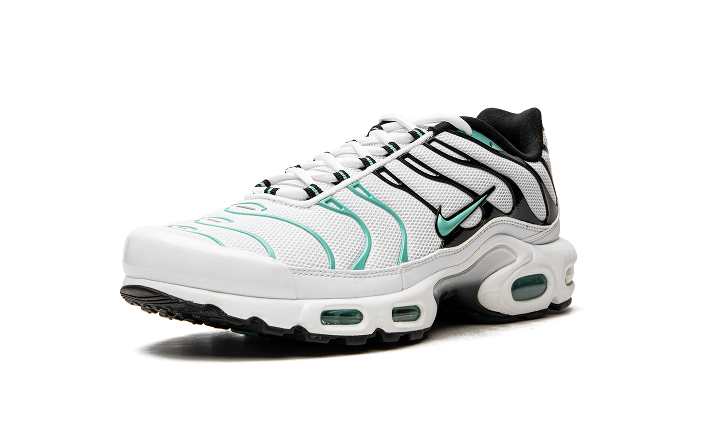 Air Max Plus "Atmos" 604133 148