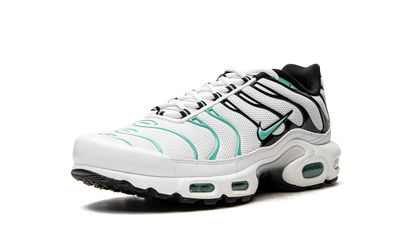 Air Max Plus "Atmos" 604133 148