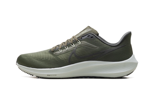 Air Zoom Pegasus 39 "Cargo Khaki" DH4071 300