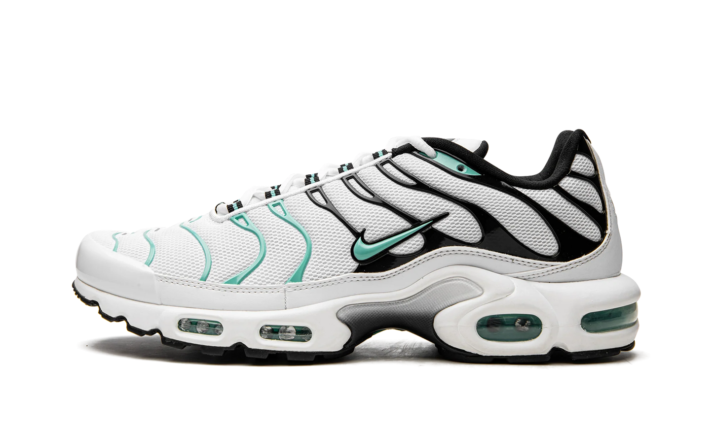 Air Max Plus "Atmos" 604133 148