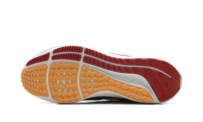 Air Zoom Pegasus 39 "Bright Spruce Valerian Blue Cerulean Light Crimson" DH4071 302