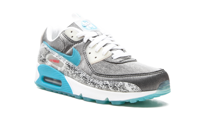 AIR MAX 90 MNS WMNS "Rice Ball" DD5483 010