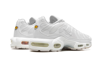 AIR MAX PLUS WMNS"Pure Platinum" DM2362 100
