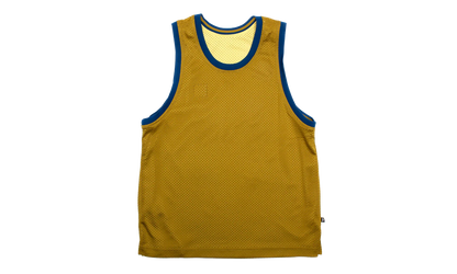 SB Basketball Skate Jersey "Saturn Gold / Bronzine" FN2597 700