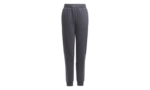 SPRT Collection Track Pants GS "Gray Five" H31215