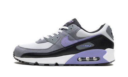 Air Max 90 "Light Thistle" DM0029 014