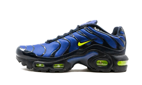 Air Max Plus (GS) CD0609 401