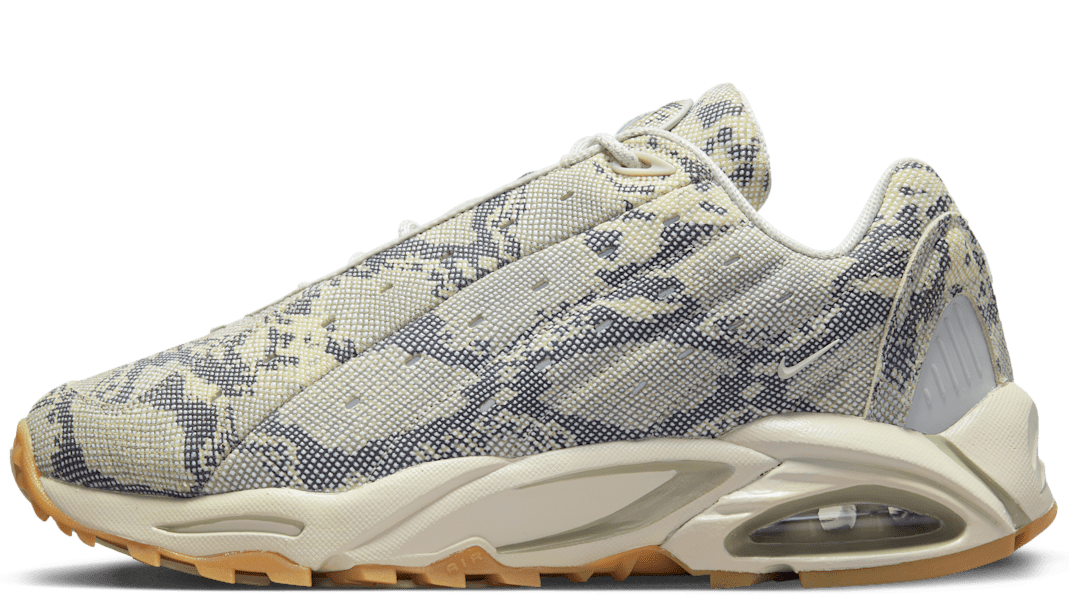 Hot Step Air Terra Drake NOCTA Snakeskin