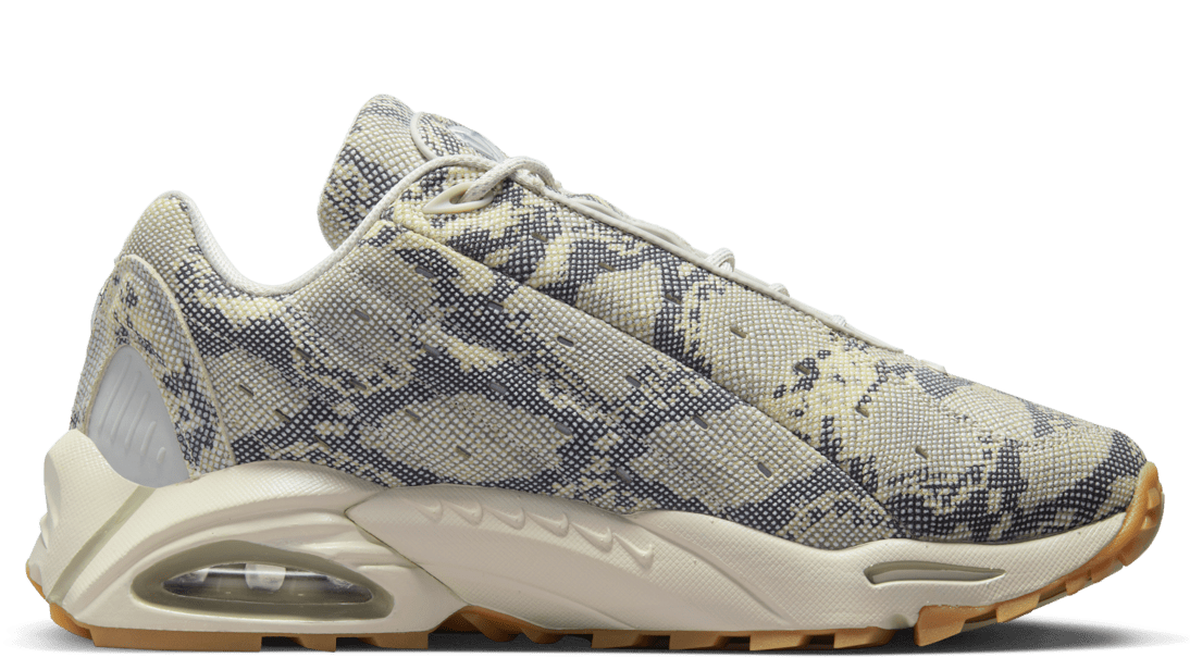 Hot Step Air Terra Drake NOCTA Snakeskin