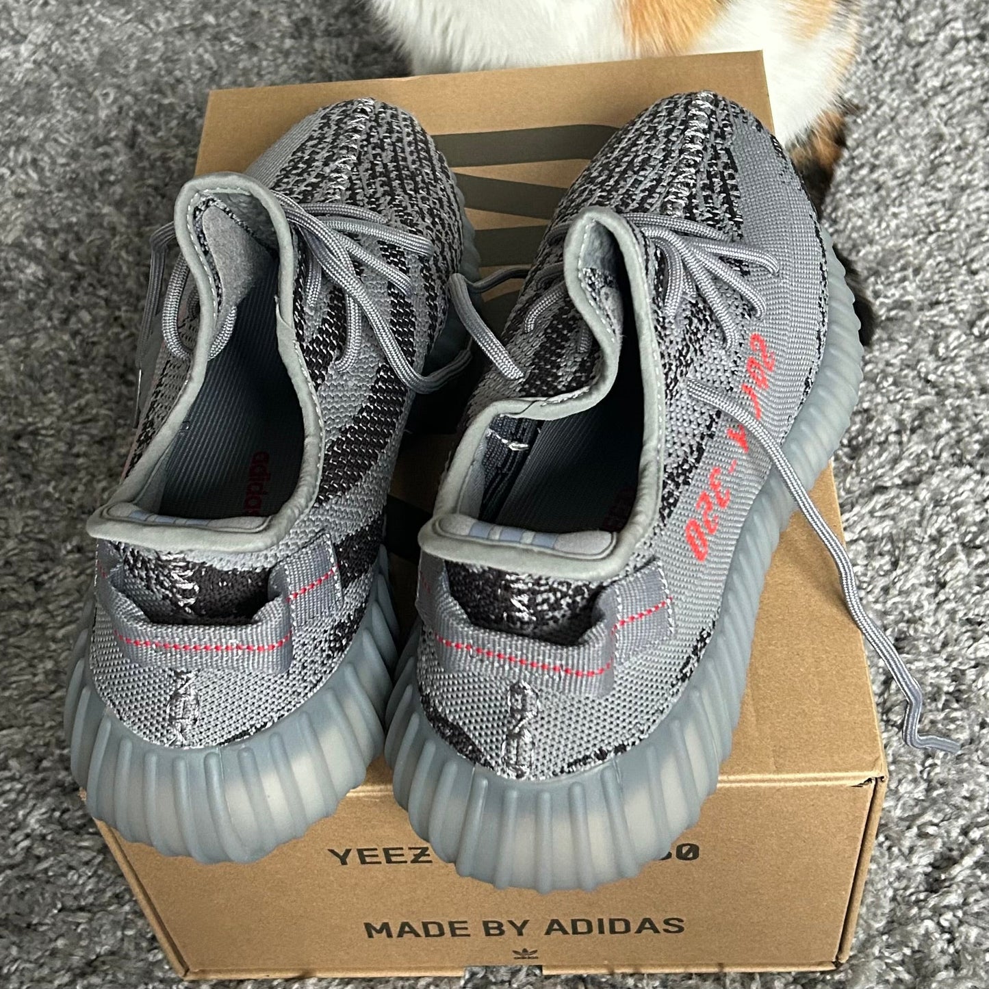 Boost 350 V2 Beluga 2.0