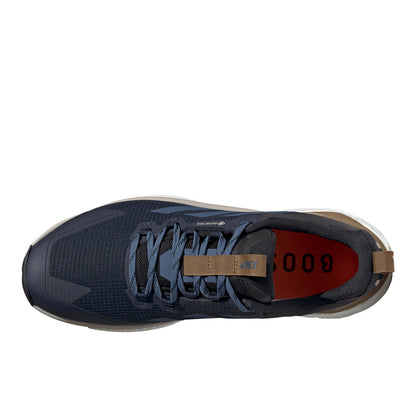 Terrex Free Hiker 2.0 Low GTX Hiking Shoes