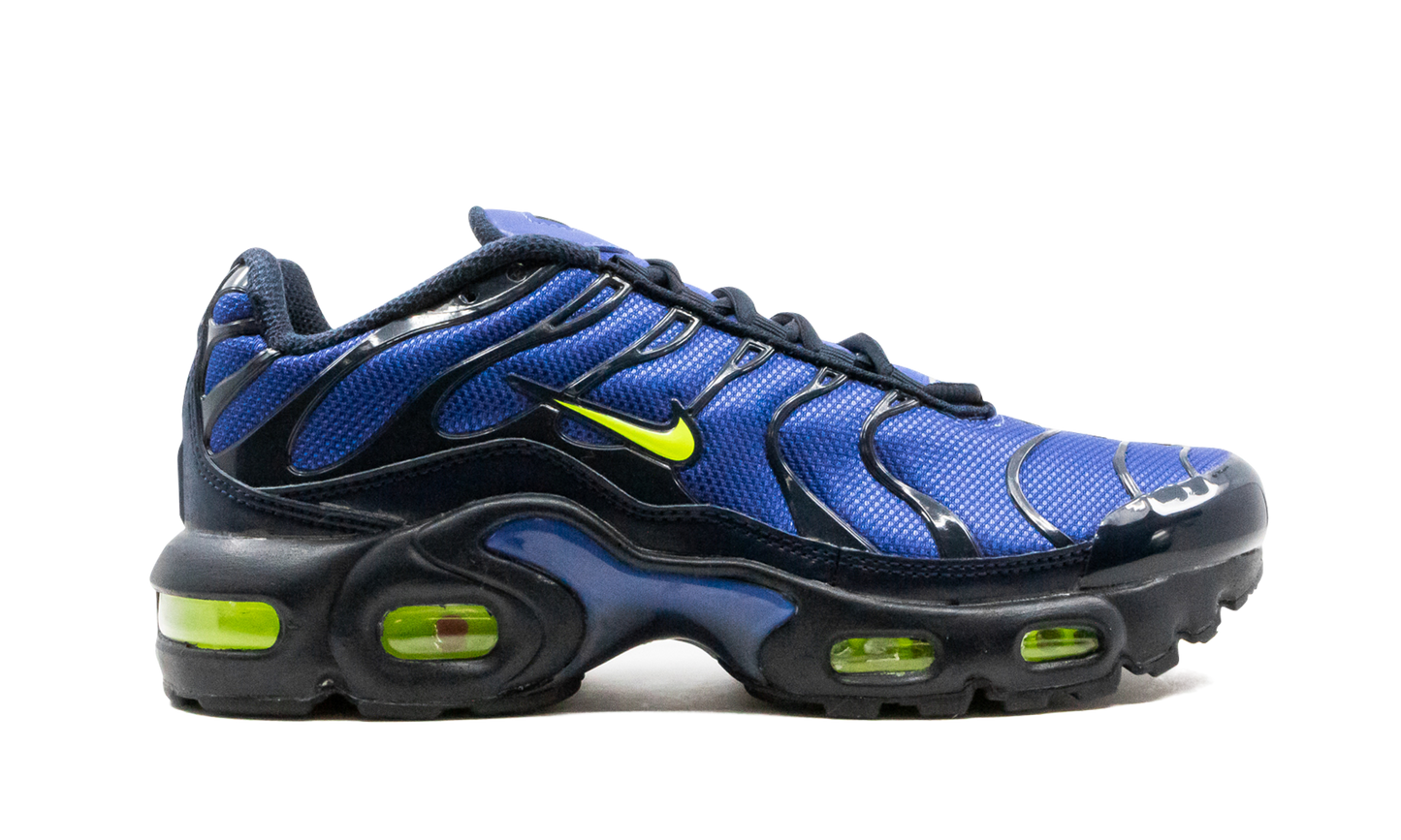 Air Max Plus (GS) CD0609 401