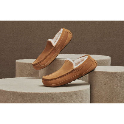 Men's Ascot Slipper in Chestnut