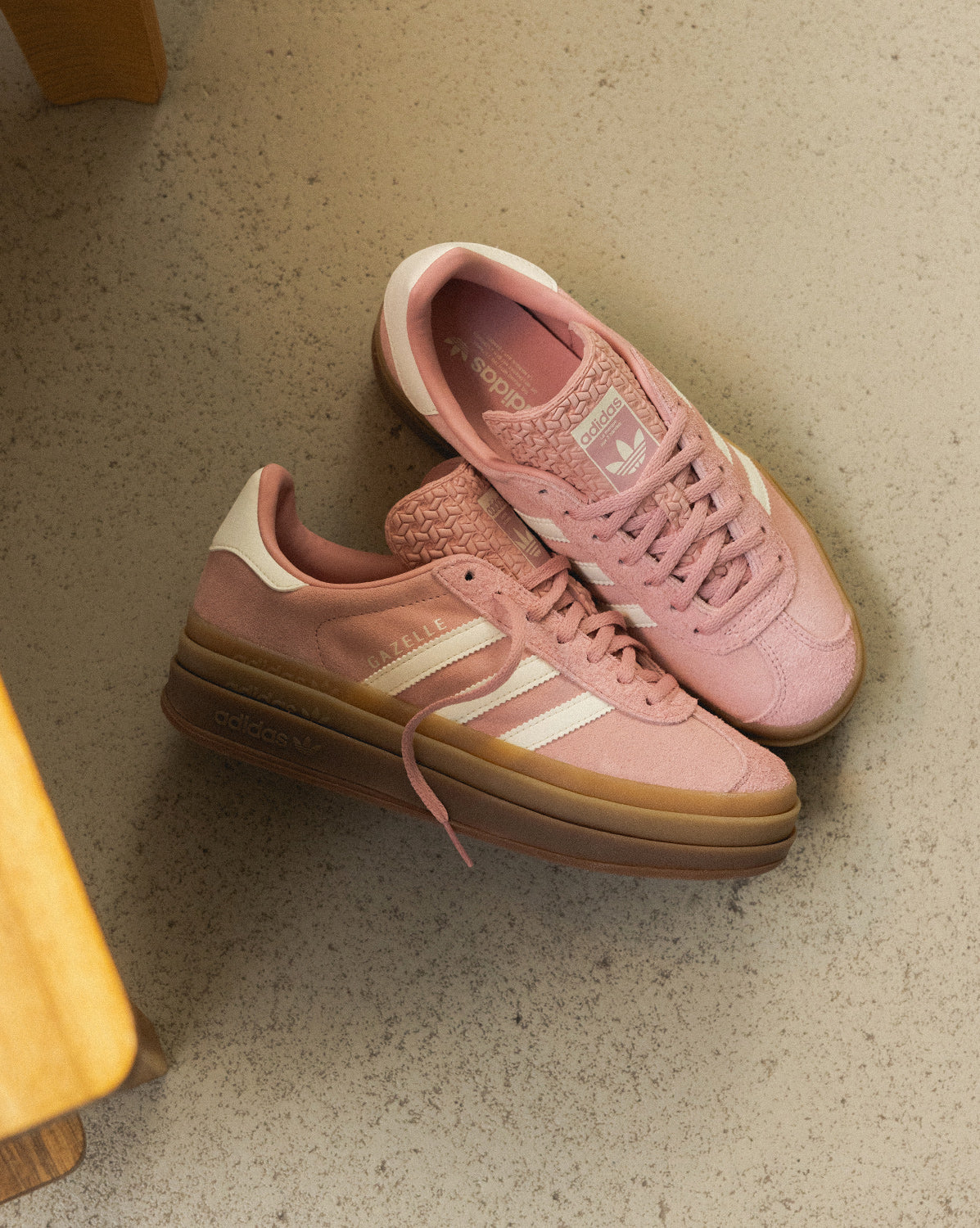 Gazelle Bold W