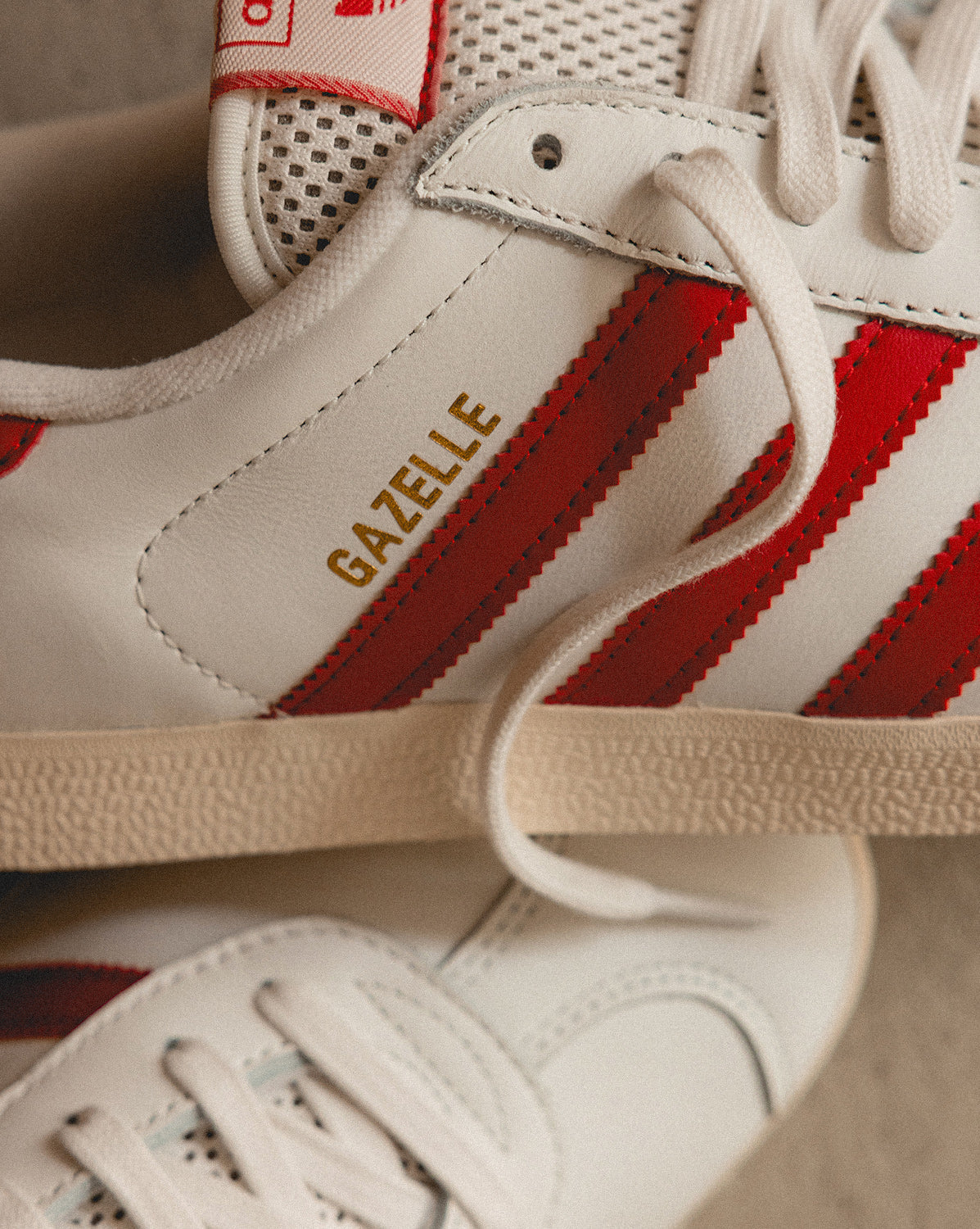 Gazelle