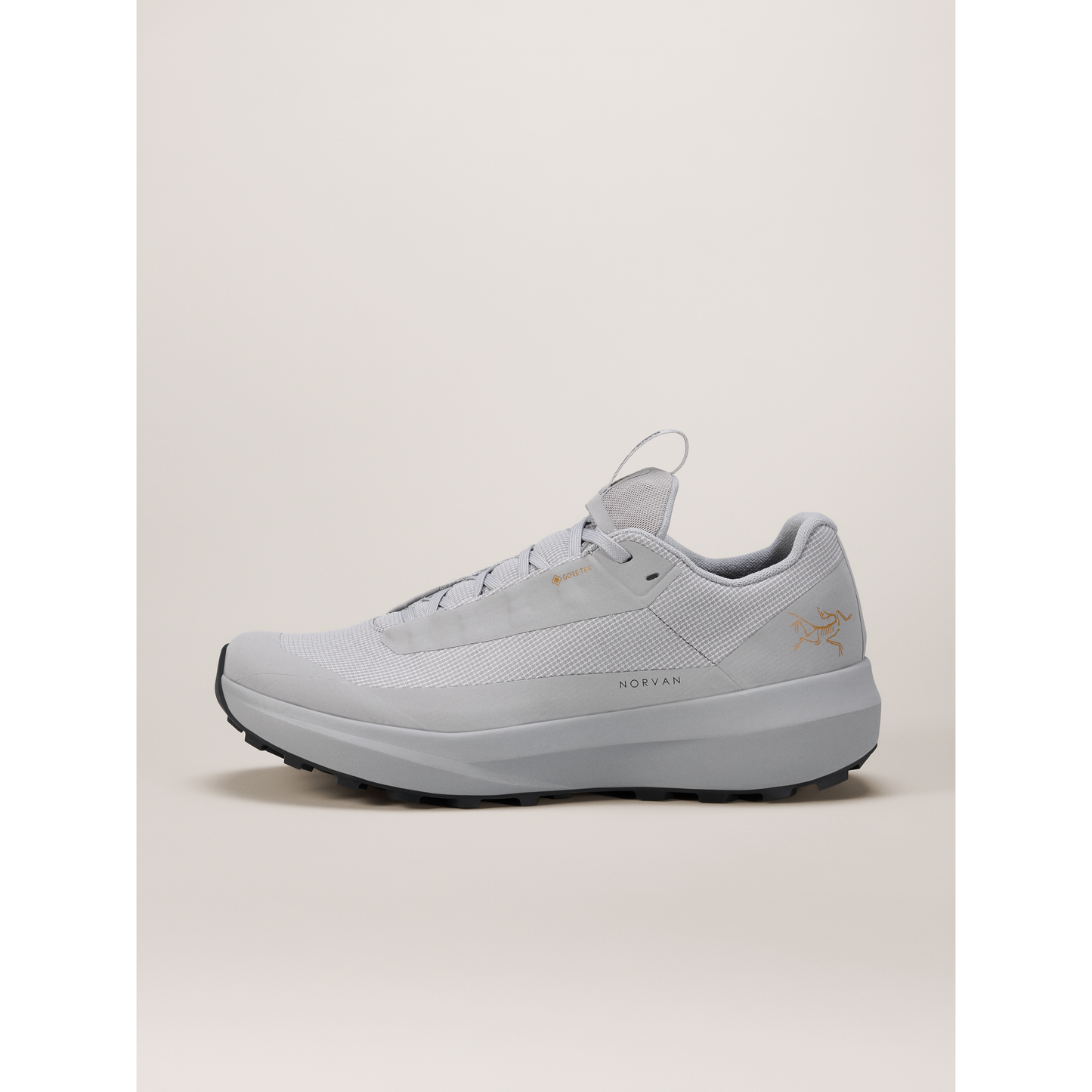 Women's Norvan LD 4 GTX in Dk Solitude/Dk Solitude