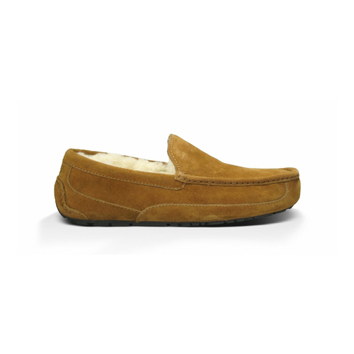Men's Ascot Slipper in Chestnut