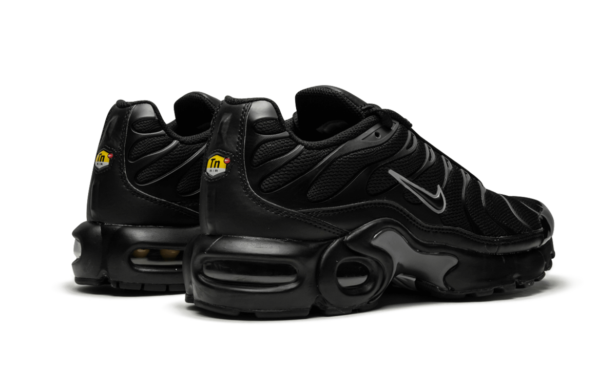 AIR MAX PLUS (GS) "AIR MAX PLUS (GS)" 655020 053