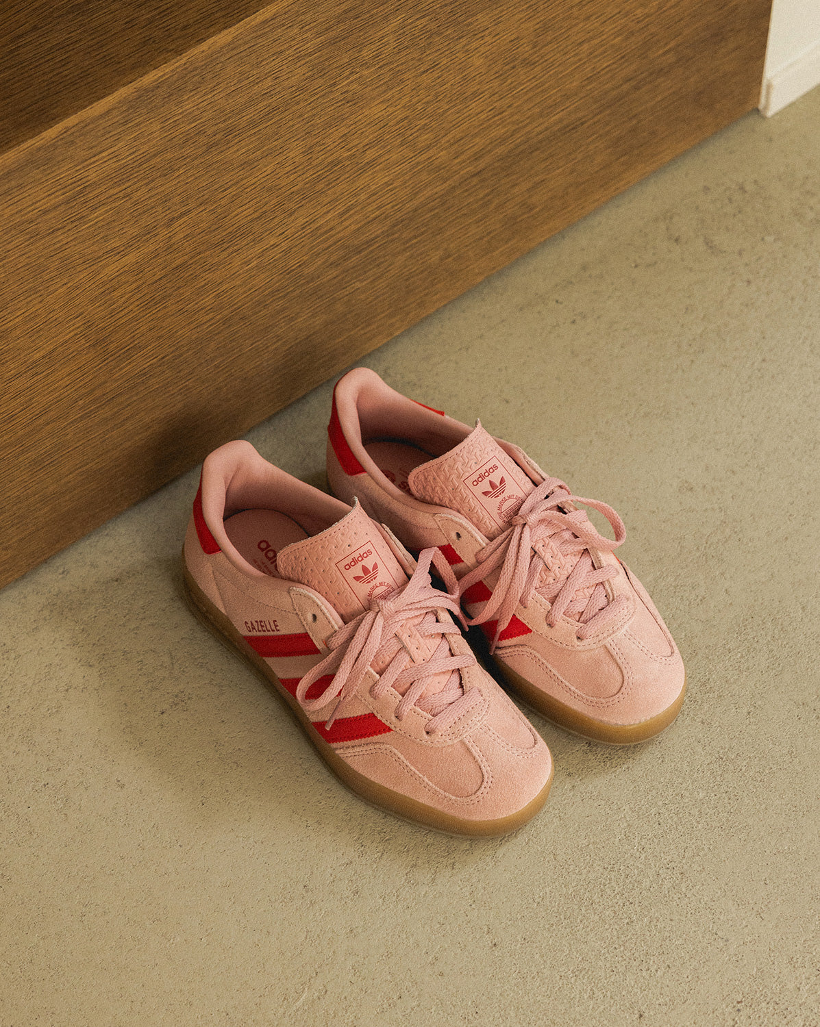 Gazelle Indoor W