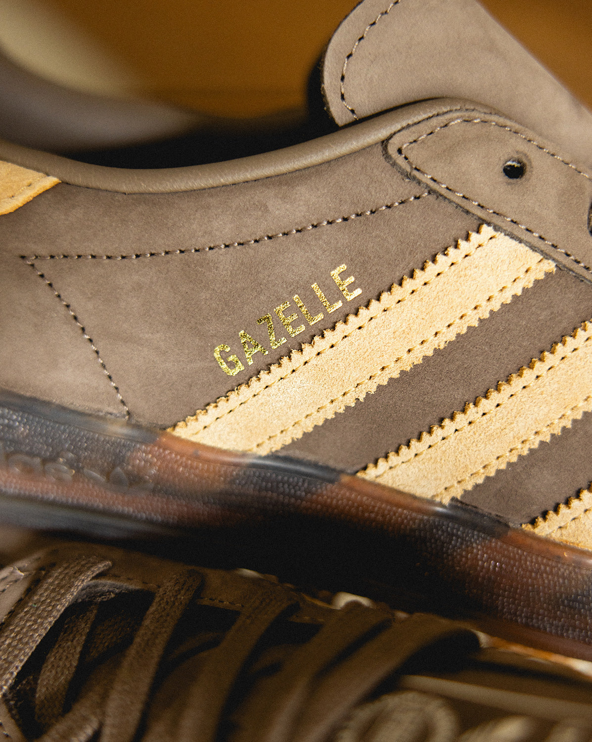 Gazelle Indoor