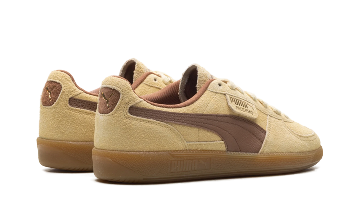 Palermo OG "Chamomile Brown Mushroom" 397251 01