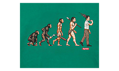 Evolution Tee "SS26 - Light Pine" SU27046