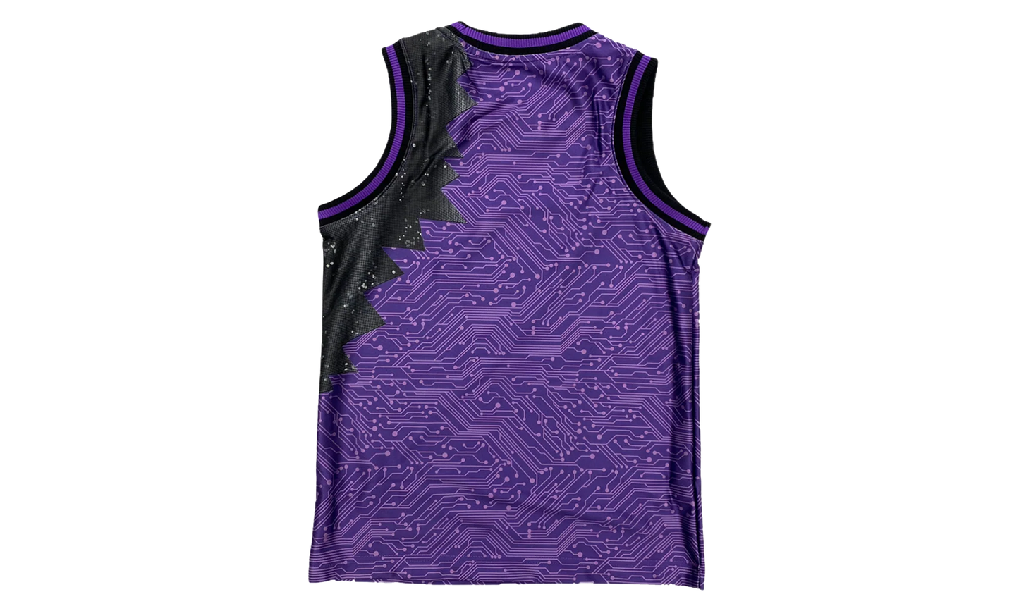 Space Jam Goon Squad Jersey GS "Hyper Grape / Wolf Grey" DM2974 560