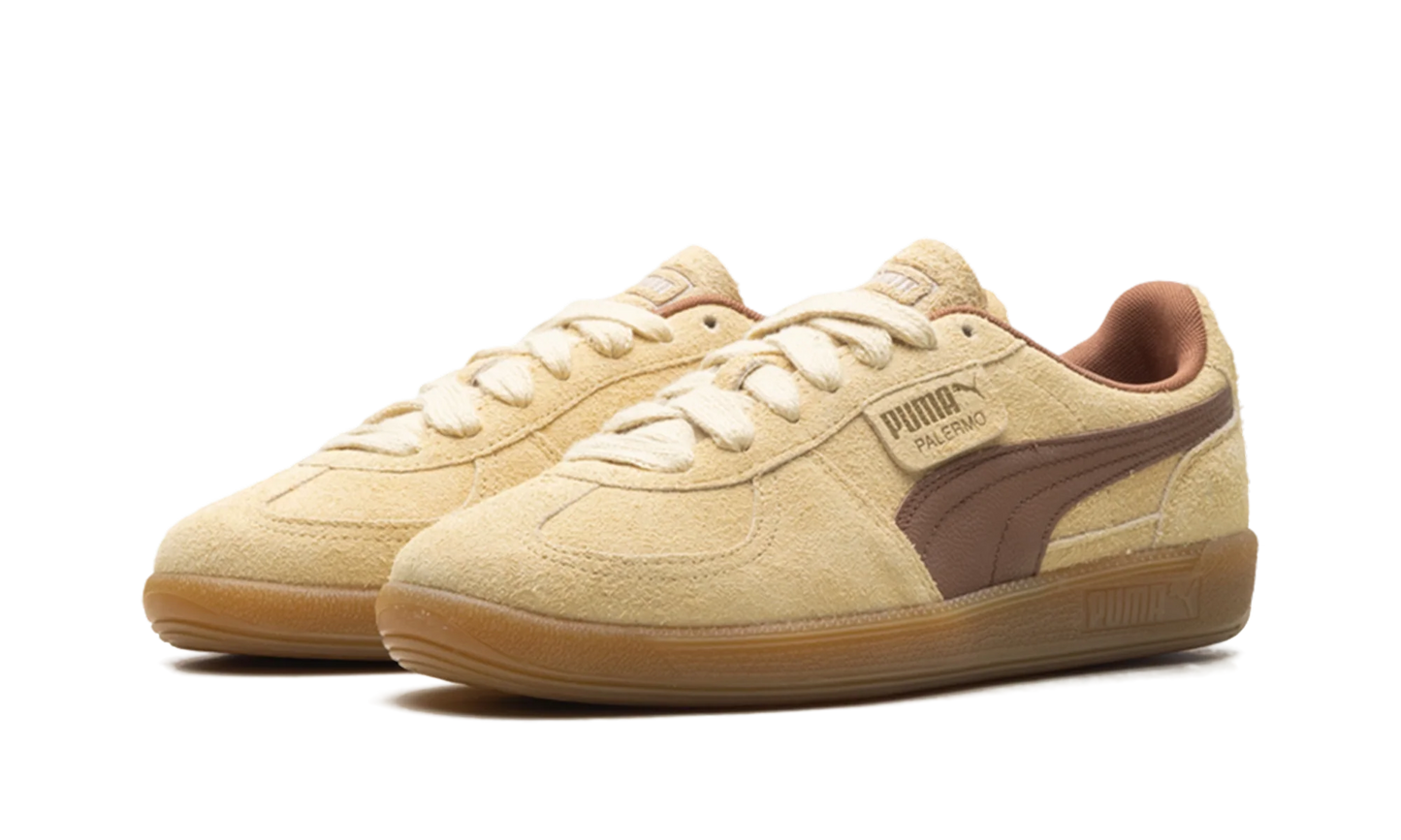 Palermo OG "Chamomile Brown Mushroom" 397251 01