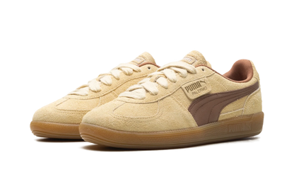 Palermo OG "Chamomile Brown Mushroom" 397251 01