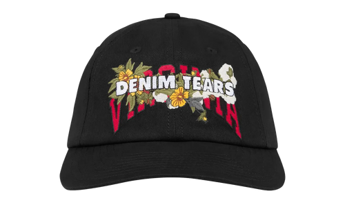 Virginia Cap "Black" DT490