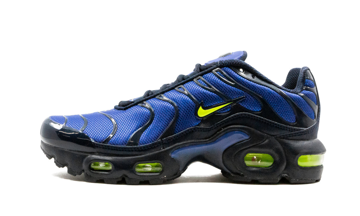 Air Max Plus (GS) CD0609 401