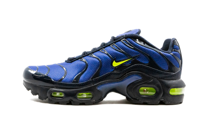 Air Max Plus (GS) CD0609 401