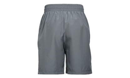 Multi Dri-FIT Training Shorts GS "Smoke Grey / White" DX5382 084