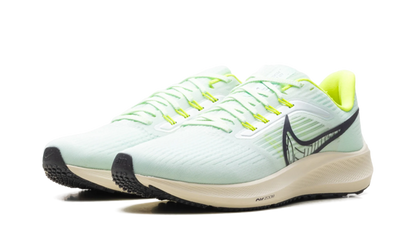 Air Zoom Pegasus 39 "Green" DH4071-301