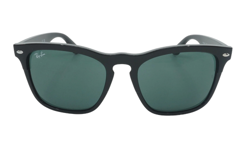 Steve Sunglasses "Black" RB4487-662971_54